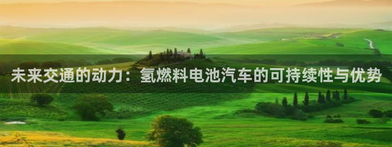 优发国际官网下载安装手机版