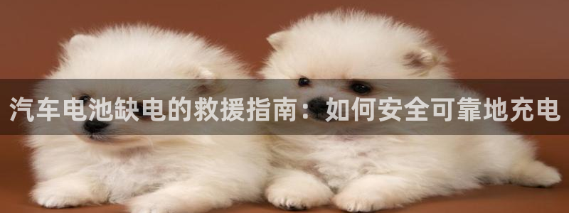 优发国际软件下载官网