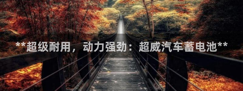 优发国际平台u8是什么