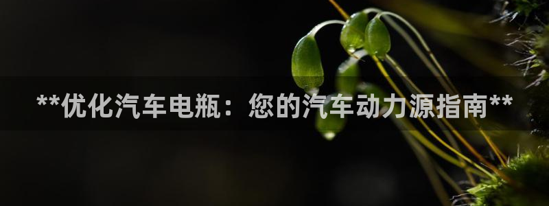 优发国际手机安装登录失败