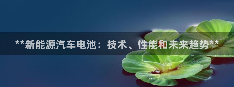 优发国际这个平台怎么样