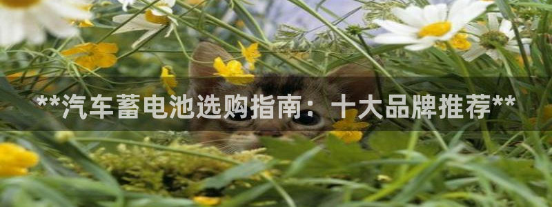 优发国际免费游戏下载