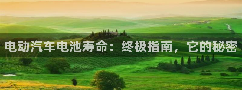 优发国际平台g8