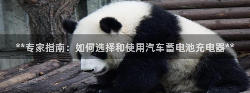 优发国际下载安装