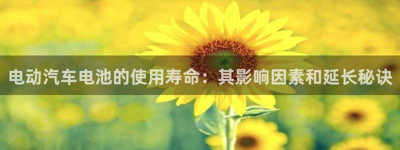 优发国际官网网站首页