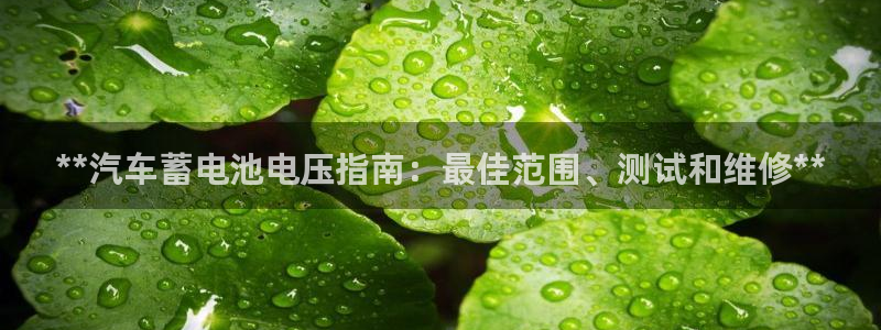 优发国际是大平台吗是真的吗