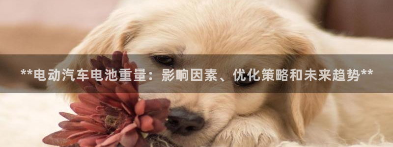 优发国际手机版唯一官网