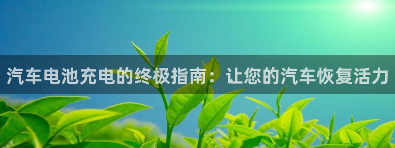 优发国际官网值是多少