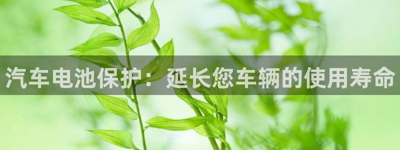 优发国际官网值是多少