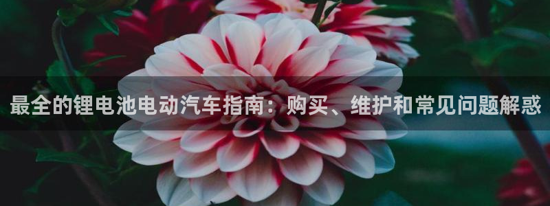 优发国际集团股份有限公司官网