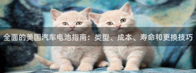 优发国际手机版官网下载