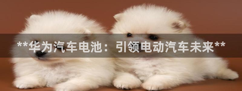 优发国际集团股份有限公司招聘：**华为汽车电池：引领电动汽车未来**