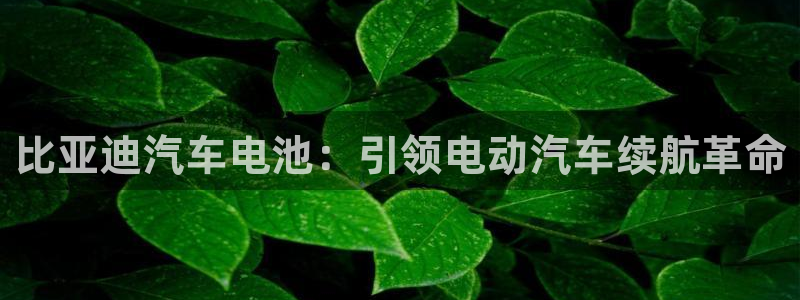 优发国际这个平台怎么样啊