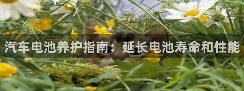 优发国际下载安装