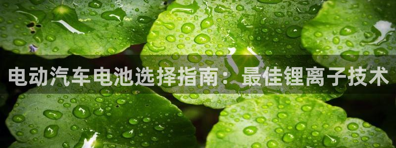 优发国际官方网手机版下载：电动汽车电池选择指南：最佳锂离子技术