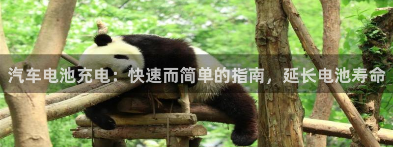 优发国际线上娱官网