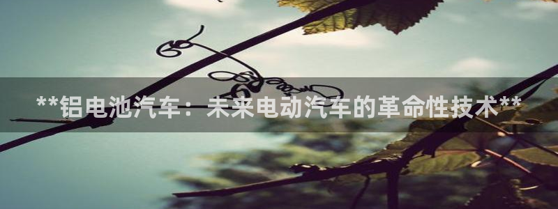 优发国际网官网址是多少