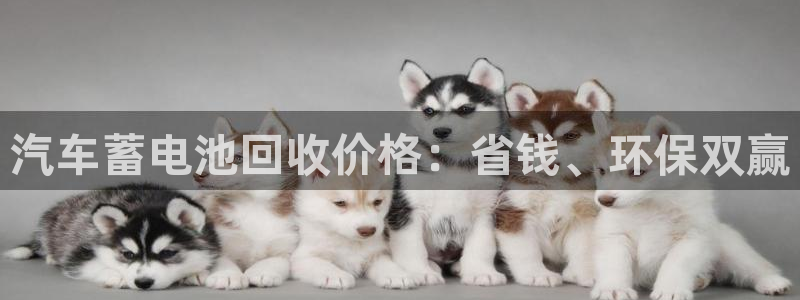 优发国际官网网站首页