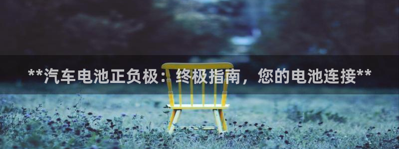 优发国际注册平台官网：**汽车电池正负极：终极指南，您的电池连接**