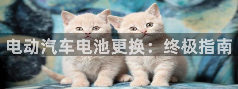 优发国际手机版客户端下载安装