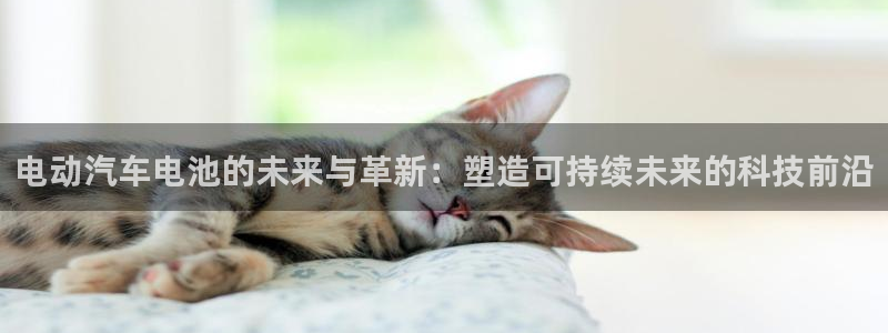 优发国际官网网站登录：电动汽车电池的未来与革新：塑造可持续未来的科技前沿
