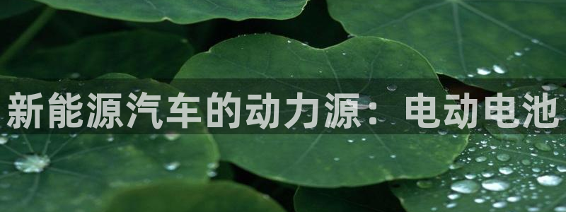 优发国际app官网下载安装苹果