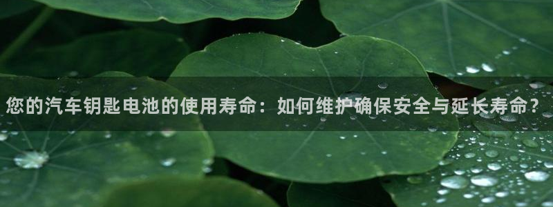 优发国际手机版唯一官网是什么