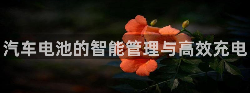 优发国际这个平台怎么样啊：汽车电池的智能管理与高效充电