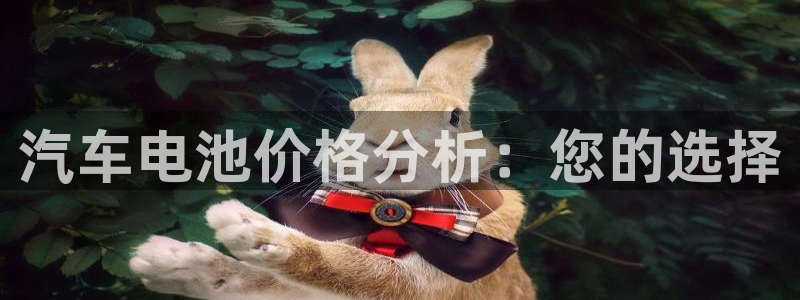 优发国际手机版网站入口