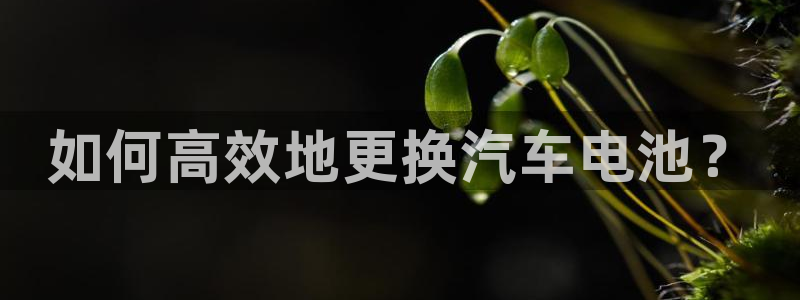 优发娱乐官网app下载：如何高效地更换汽车电池？