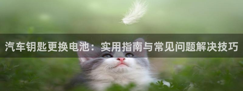 优发国际的网站是