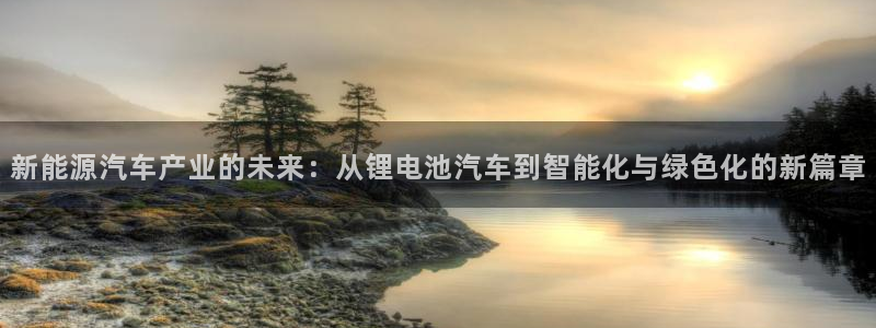 优发国际线上娱官网：新能源汽车产业的未来