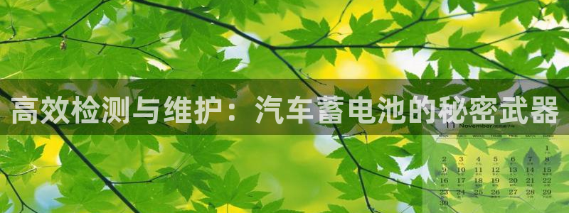 优发国际平台g8怎么样