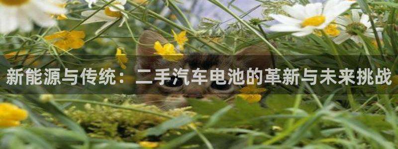优发国际不出款怎么办：新能源与传统：二手汽车电池的革新与未来挑战