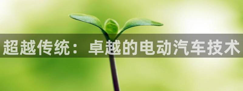 优发国际首页首页y6：超越传统：卓越的电动汽车技术