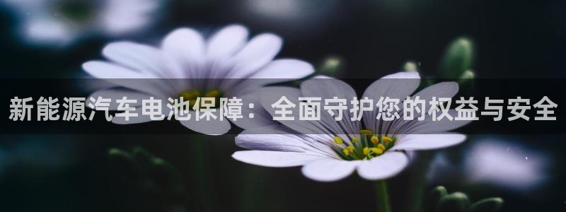 优发国际官方网手机版入口