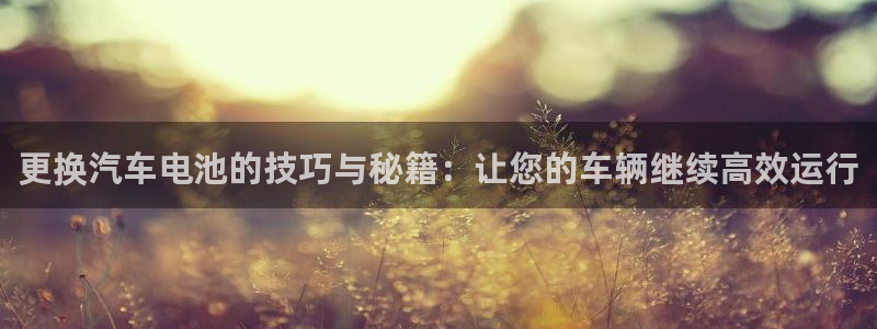 优发国际游戏17岁能玩吗：更换汽车电池的技巧与秘籍：让您的车辆继续高效运行