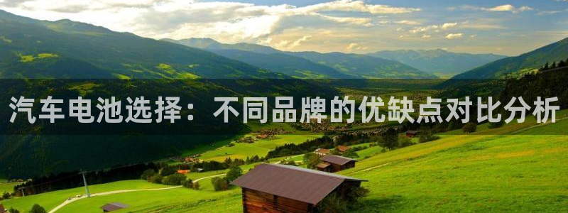 优发国际安卓版下载安装教程：汽车电池选择：不同品牌的优缺点对比分析
