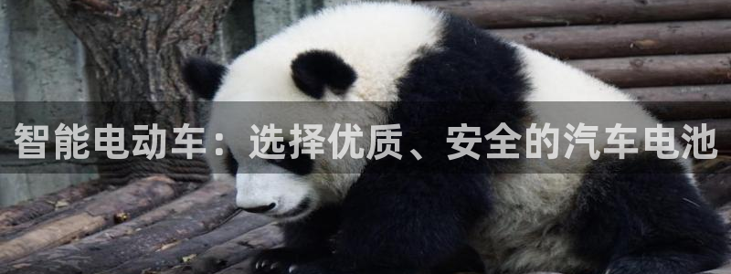 优发国际平台18岁能做吗：智能电动车：选择优质、安全的汽车电池