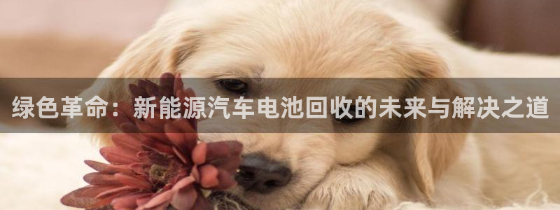 优发国际手机app下载安装最新版：绿色革命：新能源汽车电池回收的未来与解决之道