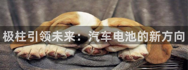 优发国际手机版客户端下载：极柱引领未来：汽车电池的新方向