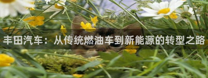 优发国际官网网站首页：丰田汽车：从传统燃油车到新能源的转型之路