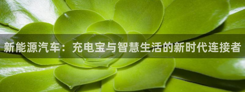 优发国际youfa：新能源汽车：充电宝与智慧生活的新时代连接者