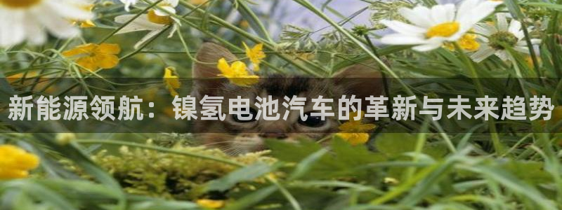 优发国际手机版客户端