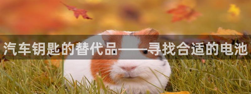优发国际官方网平台