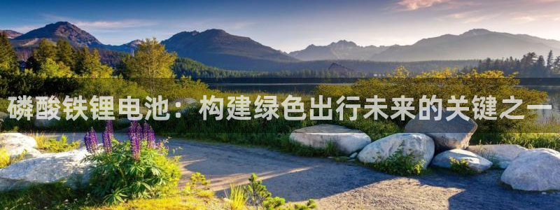 优发国际官网qy88：磷酸铁锂电池：构建绿色出行未来的关键之一