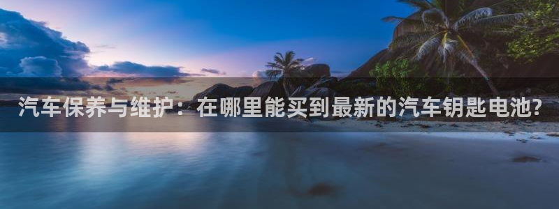 优发国际合并到哪里了最新消息：汽车保养与维护：在哪里能买到最新的汽车钥匙电池?