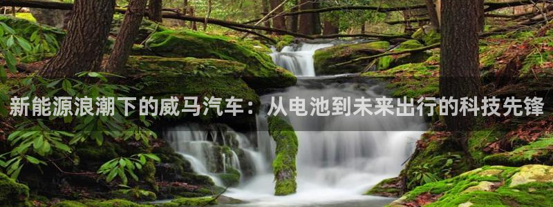 优发国际免费游戏下载：新能源浪潮下的威马汽车：从电池到未来出行的科技先锋
