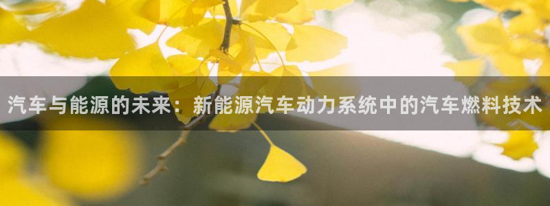 优发国际下载：汽车与能源的未来：新能源汽车动力系统中的汽车燃料技术