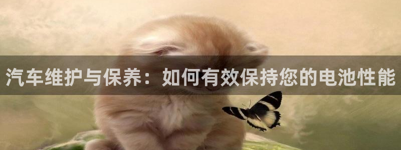优发国际平台网站：汽车维护与保养：如何有效保持您的电池性能